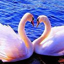 ���� Akbar, ������, 40 ��� - ��������� 20 ���� 2015 � ������ ���� ����������