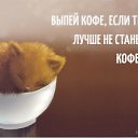 ���� ����, �����, 49 ��� - ��������� 2 ���� 2015 � ������ ������ ��������