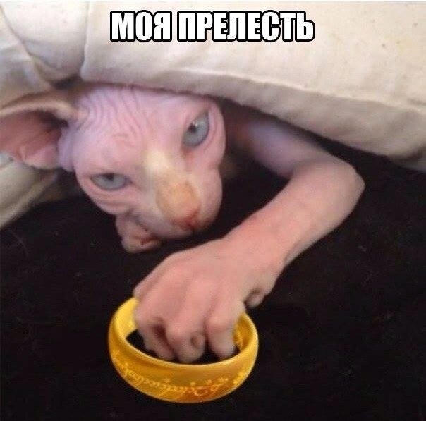    - 6  2015  01:13
