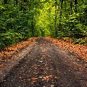 ���� �������, �������, 38 ��� - ��������� 13 �������� 2015 � ������ �����