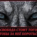 ���� ������, ��������������, 54 ���� - ��������� 21 ������� 2015 � ������ ������ ��������