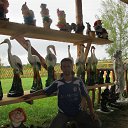 ���� ������, �����, 41 ��� - ��������� 28 ���� 2015 � ������ ������ ��������