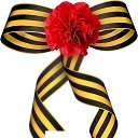 ���� La Gatita, ������, 64 ���� - ��������� 8 ��� 2015 � ������ ������ ��������