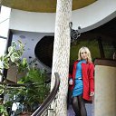 ���� �����, ������ ��������, 30 ��� - ��������� 28 ������ 2015 � ������ ������ ��������