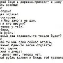 ���� ������, ��������, 61 ��� - ��������� 29 ������ 2015 � ������ ������ ��������