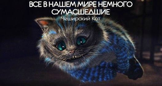 Magic the cookie - 23  2015  00:06