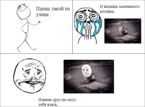 ? ,  ! - 24  2015  11:56
