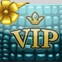     VIP .!