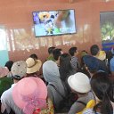    -  ,  -  31  2015   .  2015. Vinpearl.  7-.