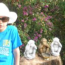    -  ,  -  4  2015    2014.  .  6-.