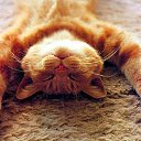 ���� ���� � ��� ������������ � ������� ��� ������� ������, �� ������ ����� �� �������. �� ������� ���� ����������