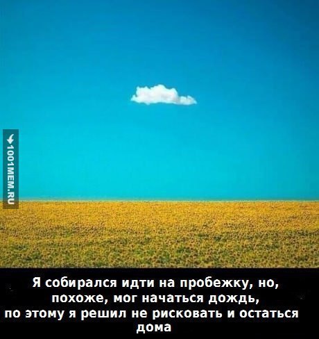 ☆   ☆ - 3  2015  04:40