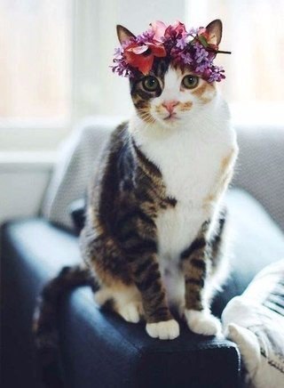 Весна пришла ко всем! - 2