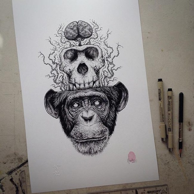   (Paul Jackson),    ,     ... - 4