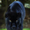 ���� �����, ����������, 55 ��� - ��������� 17 ������� 2015 � ������ ���� ����������