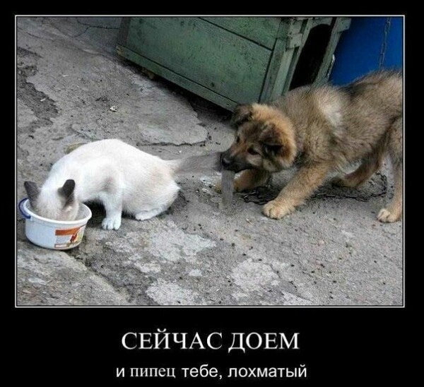    !...