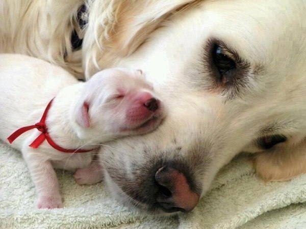          -     " "  -   : https://fotostrana.ru/away?to=/sl/9x2 - 13  2015  20:28