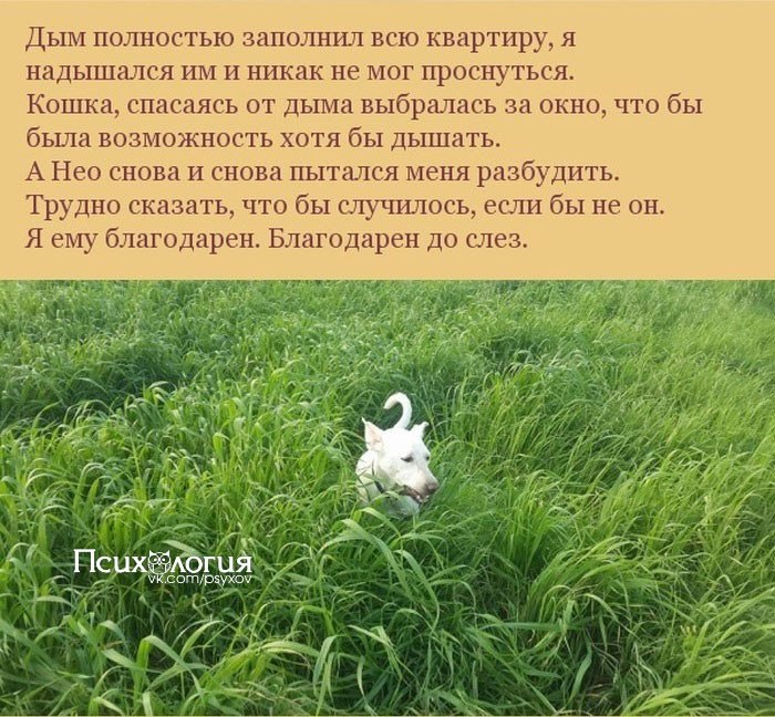       .        ... - 7