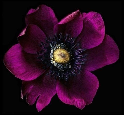 ||  ... || - 6  2015  09:46 - 5