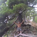 ���� ������, �����, 69 ��� - ��������� 1 �������� 2015 � ������ ���� ����������
