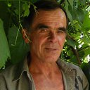 ���� ����, �������, 73 ���� - ��������� 13 ������� 2015 � ������ ���� ����������