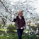 ���� �����, ������, 47 ��� - ��������� 3 ��� 2015 � ������ ���� ����������