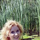 ���� �����, ���� - ��������� 4 ���� 2015 � ������ ���� ����������