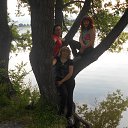  , , 46  -  5  2015   2015 