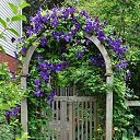 ���� �������, ������������, 50 ��� - ��������� 9 ���� 2015 � ������ ���� ����������