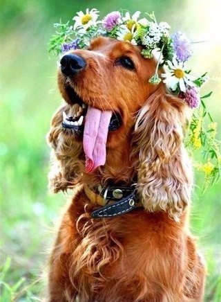 Весна пришла ко всем! - 6