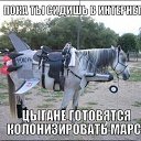 ���� �������, ��������, 48 ��� - ��������� 17 ������� 2015 � ������ ������ ��������