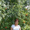 ���� ���������, ����-�����������, 47 ��� - ��������� 24 ���� 2015 � ������ ���������� ������