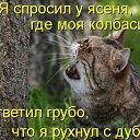 ���� Aleks, ������, 39 ��� - ��������� 17 ��� 2015 � ������ ������ ��������