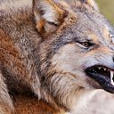 ���� ������, �������� ���, 50 ��� - ��������� 22 �������� 2015 � ������ ���� ����������