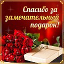 ���� �������, �������������-����������, 62 ���� - ��������� 8 �������� 2015 � ������ �������� ��������
