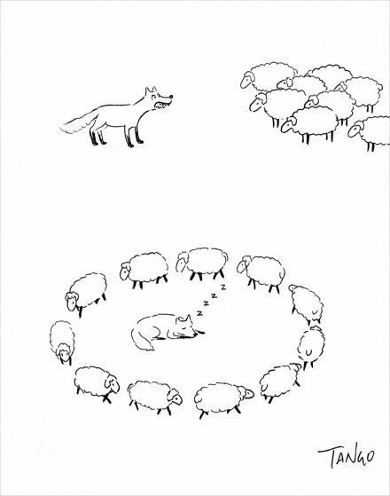 10     - 5