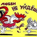 ���� ��������, ������ - ��������� 29 ��� 2015 � ������ ������ ��������