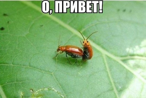   ,      Z!)))