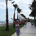  ,   -  3  2015   ,  2015  