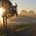 ���� �����, �����, 83 ���� - ��������� 14 ���� 2015 � ������ ������ ��������