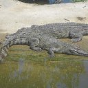    -  ,  -  30  2015   .  2015.   .  3-.