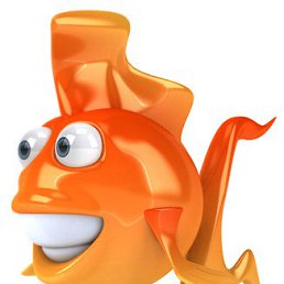 �����, ����, 45 ���