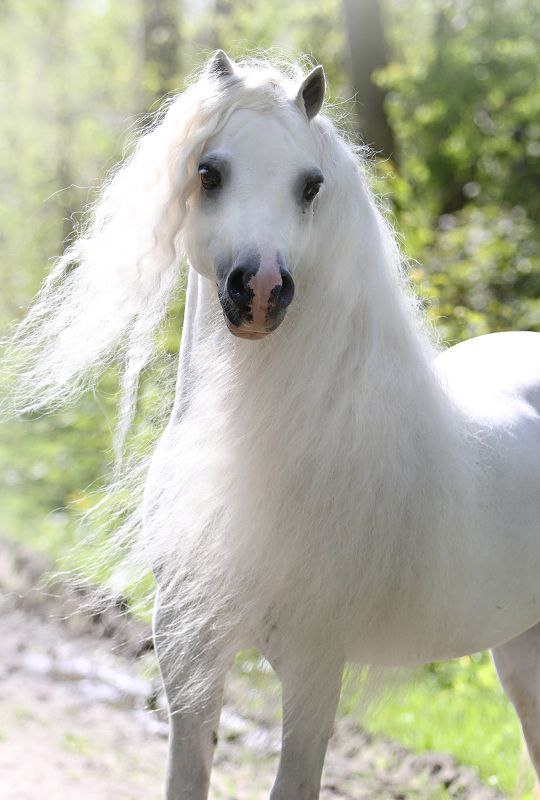   - 13  2015  17:30 - 2