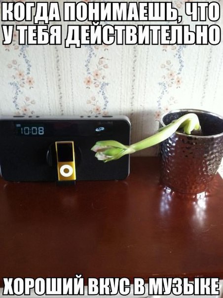 ЁП - 29 июня 2015 в 16:57