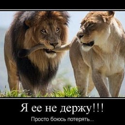 �. �., ���������