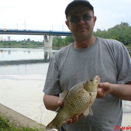 , 52, 