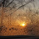 ���� �������, ����, 68 ��� - ��������� 17 �������� 2015 � ������ ������ ��������