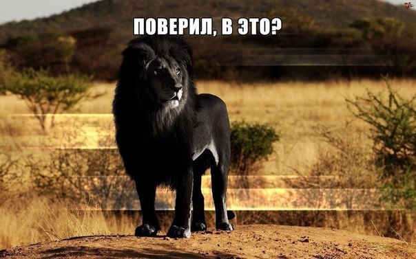 ! - 9