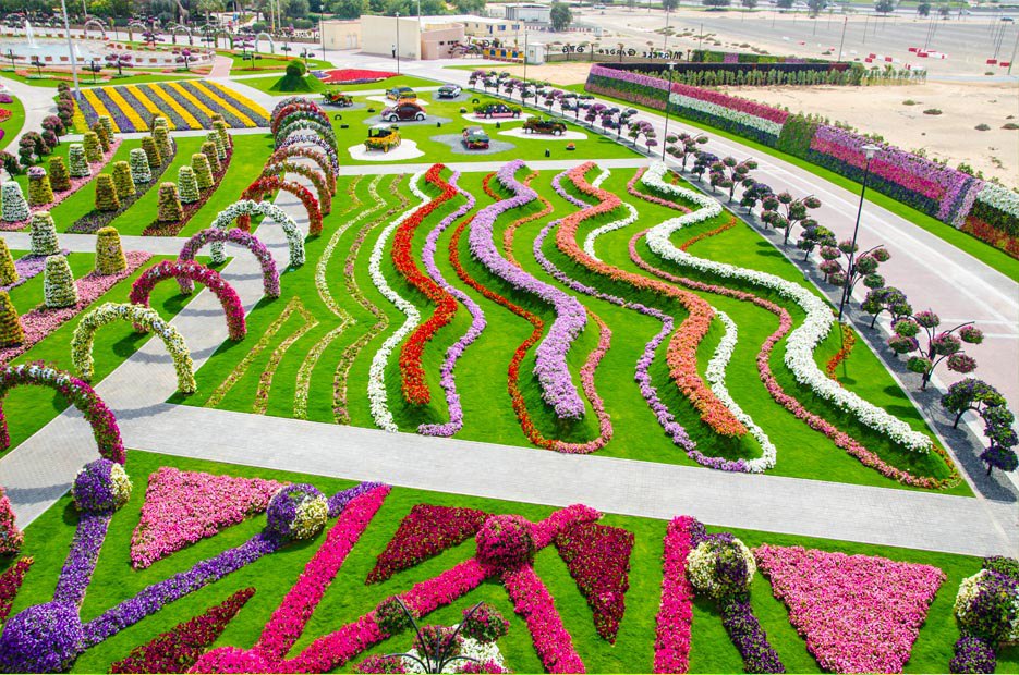 " "   (Dubai Miracle Garden) -       (). ... - 6