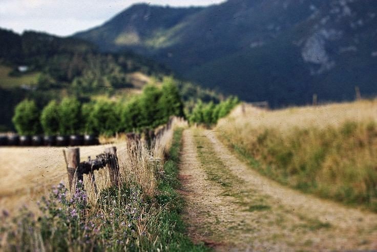 , ,  .#nature@travel.blog - 2